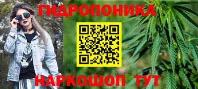 ГАЛЛЮЦИНОГЕННЫЕ ГРИБЫ Бийск