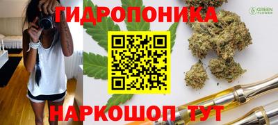 ГАЛЛЮЦИНОГЕННЫЕ ГРИБЫ Бийск