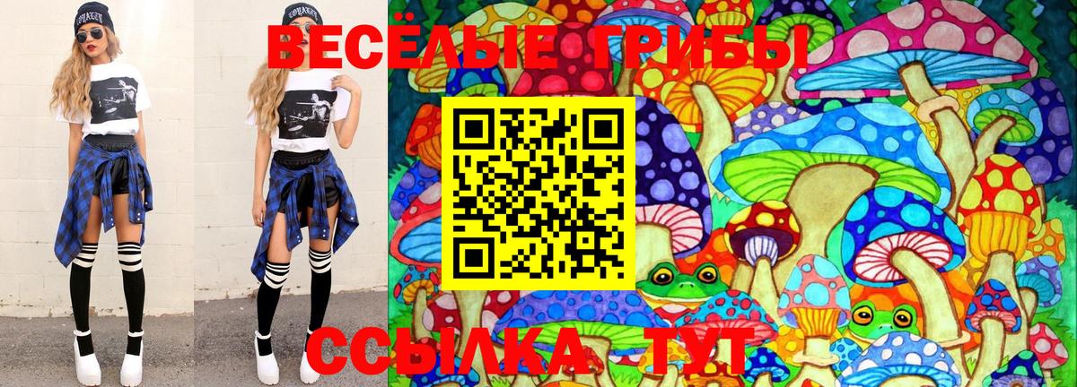 Галлюциногенные грибы ЛСД Клинцы
