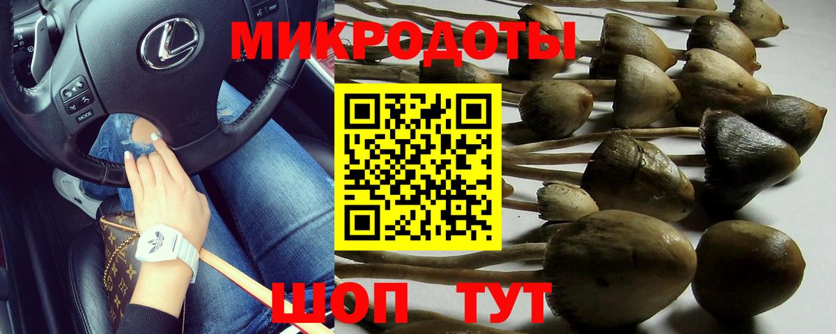 Клинцы  Псилоцибиновые грибы GOLDEN TEACHER  Вход с VPN 
